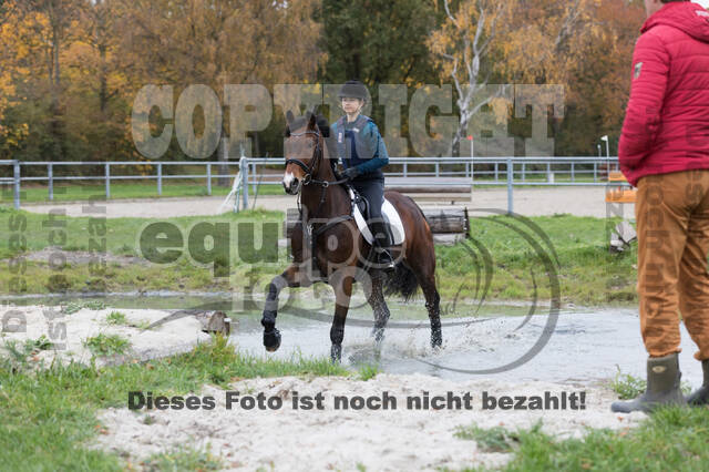 IGV Lehrgang der Sieger der Cups mit Frank Ostholt