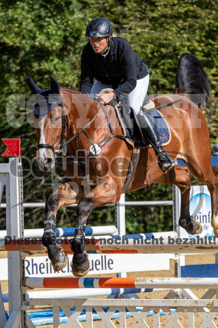 RFV Dinslaken-Hiesfeld (Herbstturnier)