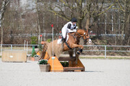 Eventing Langenfeld 2018