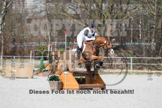 Eventing Langenfeld 2018