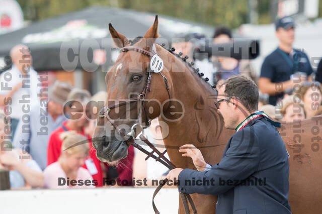 FEI European Championship Eventing 2019