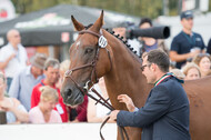 FEI European Championship Eventing 2019