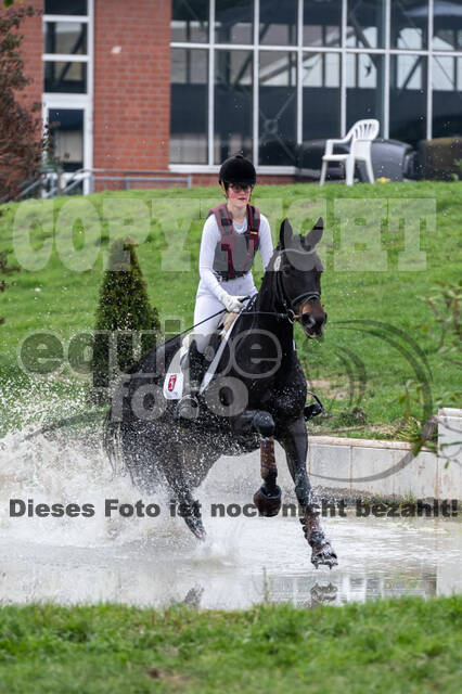 Goldene Schärpe 2020 - Pferde