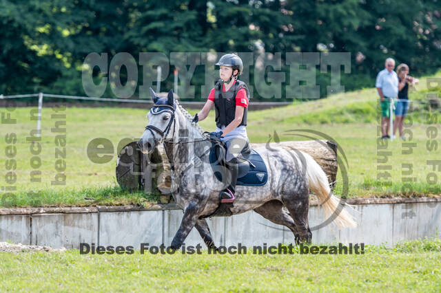 Goldene Schärpe 2021 - Ponys
