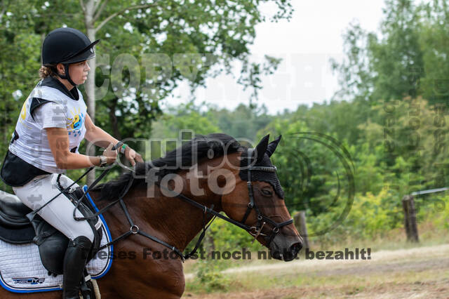 Late-Entry Vielseitigkeit Hamminkeln/Wesel (01.+02.08.2020)