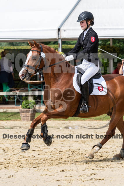 Goldene Schärpe 2021 - Ponys
