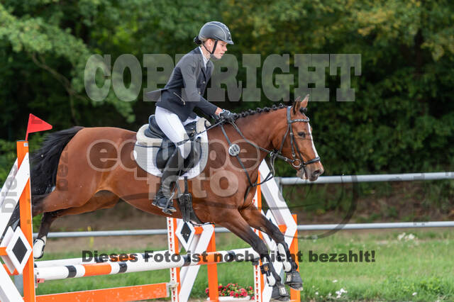 Late-Entry-Vielseitigkeit Langenfeld (06.+07.07.2020)