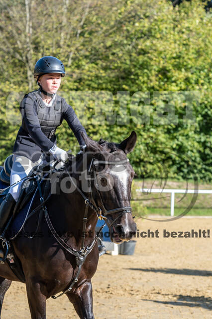 RFV Dinslaken-Hiesfeld (Herbstturnier)