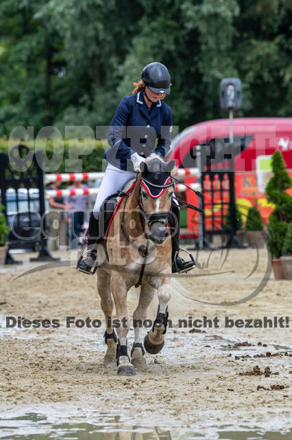 Goldene Schärpe 2021 - Ponys