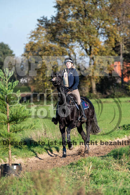 Vielseitigkeitslehrgang mit Jürg Kurbel (9.+10.11.2019)