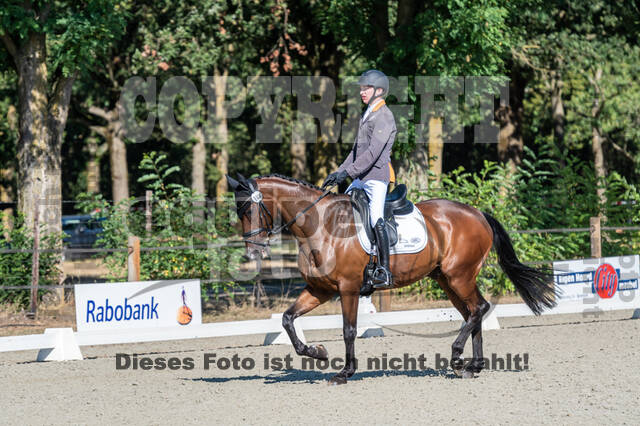 Kronenberg - De Peelbergen (August 2020)