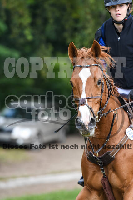 Late-Entry-Vielseitigkeit Langenfeld (11.+13./14.06.2020)