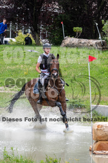 Late-Entry-Vielseitigkeit Langenfeld (06.+07.07.2020)