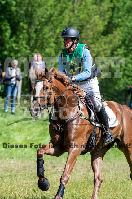 Westerstede Horse Trials (10.-13.06.2021)