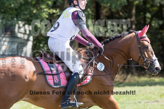 Vielseitigkeitsturnier RSV St. Hubertus Wesel Obrighoven