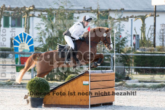 Eventing Langenfeld 2018