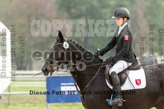 Goldene Schärpe 2020 - Pferde