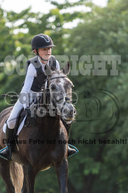 Goldene Schärpe 2021 - Ponys