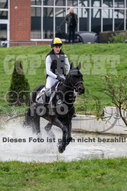 Goldene Schärpe 2020 - Pferde