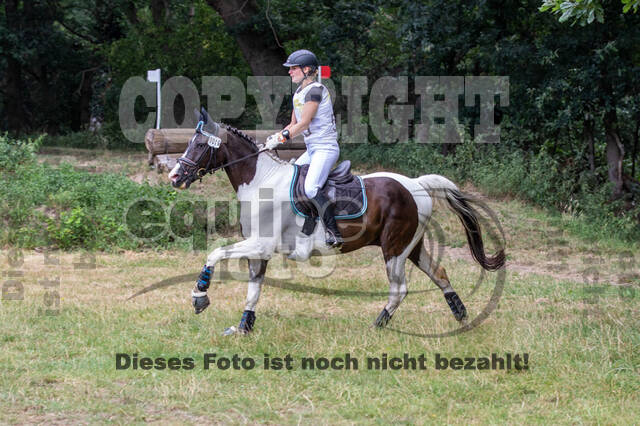 Late-Entry Vielseitigkeit Hamminkeln/Wesel (01.+02.08.2020)