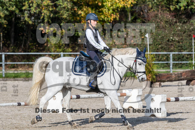 IGV Lehrgang der Sieger der Cups mit Frank Ostholt