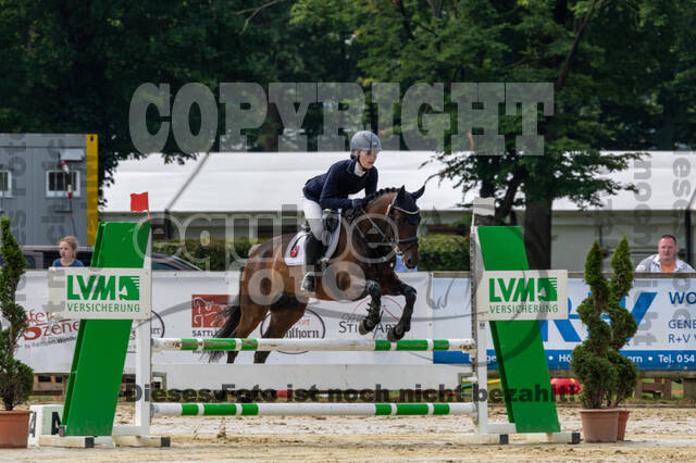 Goldene Schärpe 2021 - Ponys