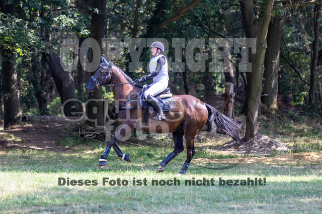 Late-Entry Vielseitigkeit Hamminkeln/Wesel (01.+02.08.2020)