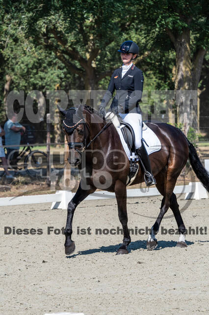 Kronenberg - De Peelbergen (August 2020)