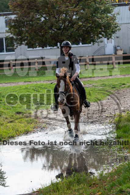IGV Lehrgang der Sieger der Cups mit Frank Ostholt