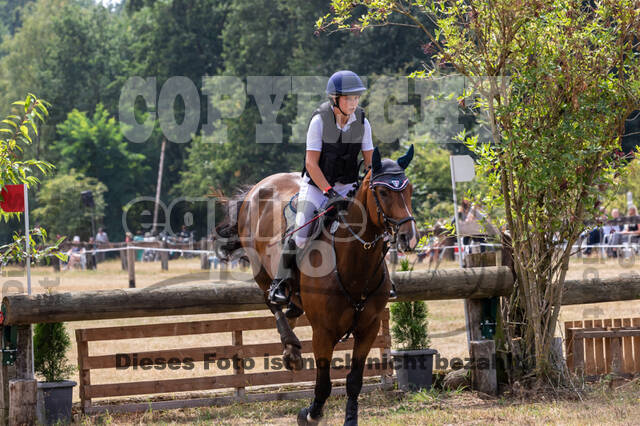 Late-Entry Vielseitigkeit Hamminkeln/Wesel (01.+02.08.2020)