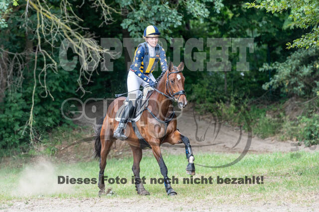 Late-Entry-Vielseitigkeit Langenfeld (11.+13./14.06.2020)