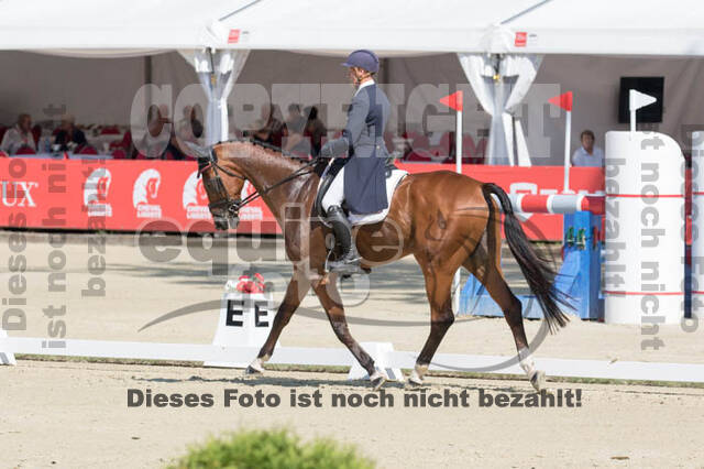 FEI European Championship Eventing 2017