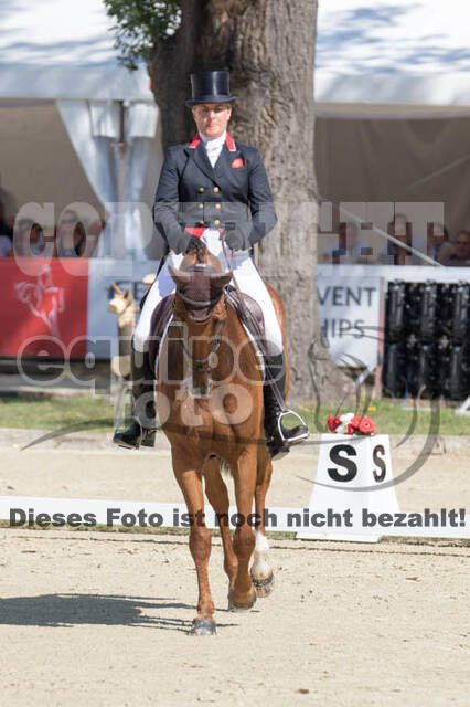 FEI European Championship Eventing 2017