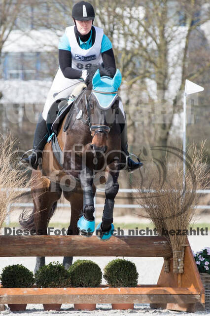 Eventing Langenfeld 2018