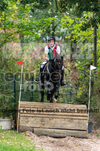 Goldene Schärpe 2020 - Pferde