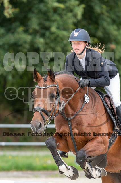 Late-Entry-Vielseitigkeit Langenfeld (06.+07.07.2020)