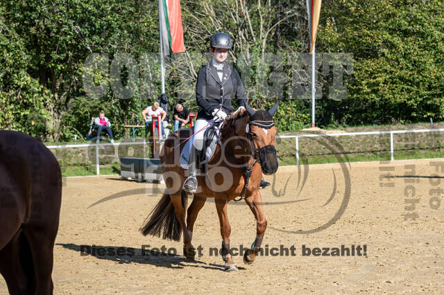 RFV Dinslaken-Hiesfeld (Herbstturnier)