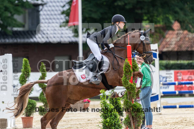 Goldene Schärpe 2021 - Ponys