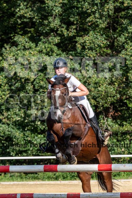 RFV Dinslaken-Hiesfeld (Herbstturnier)