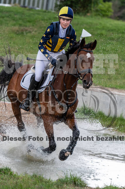 Late-Entry-Vielseitigkeit Langenfeld (06.+07.07.2020)