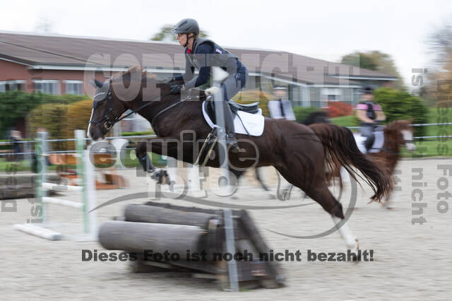 IGV Lehrgang der Sieger der Cups mit Frank Ostholt
