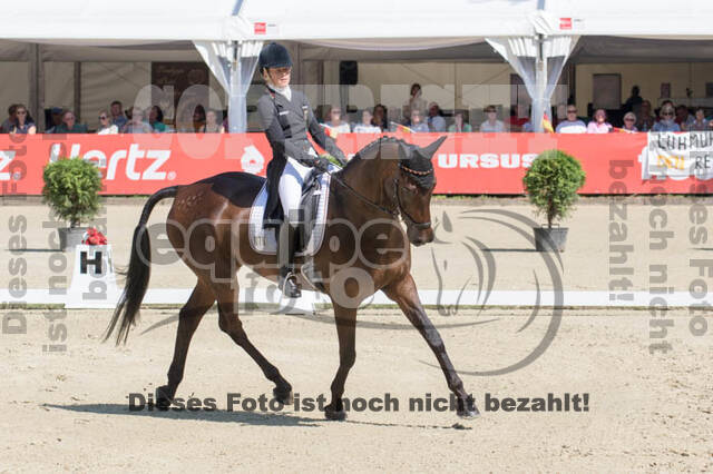 FEI European Championship Eventing 2017