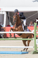 FEI European Championship Eventing 2017