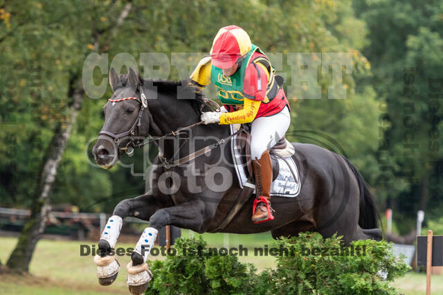 Vielseitigkeit RSV Wesel Obrighoven (26.+27.09.2020)