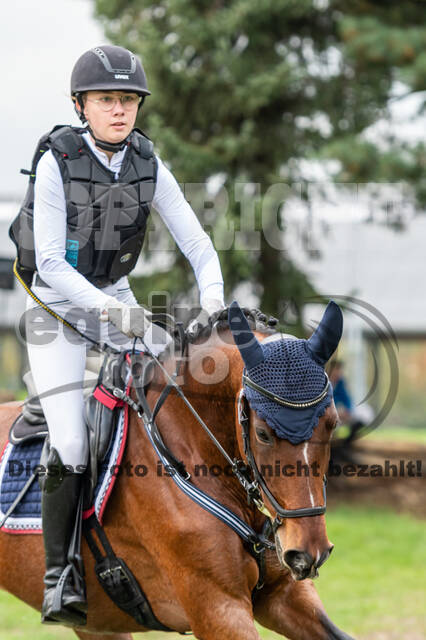 Goldene Schärpe 2020 - Pferde