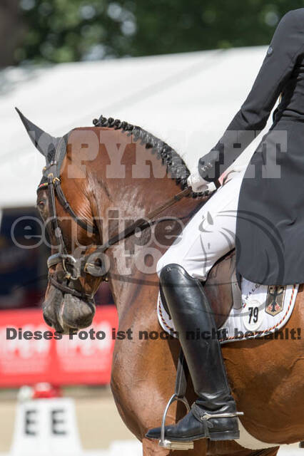 FEI European Championship Eventing 2017