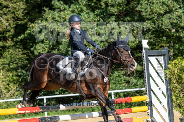 RFV Dinslaken-Hiesfeld (Herbstturnier)