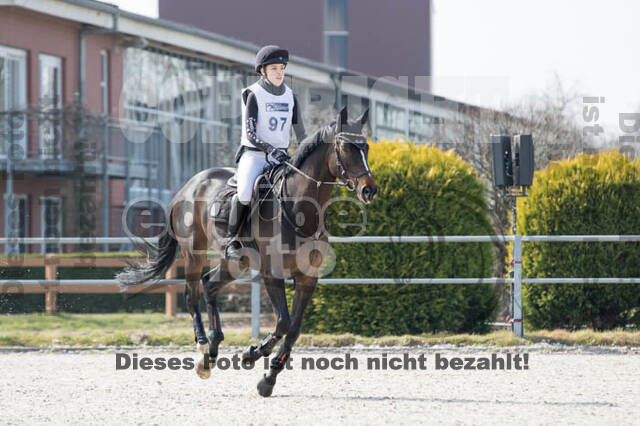 Eventing Langenfeld 2018
