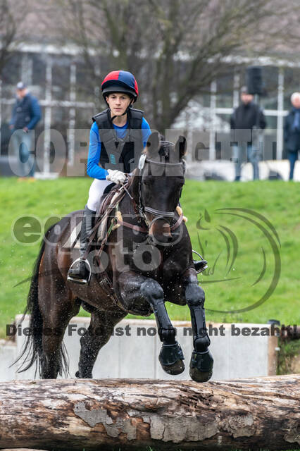 Goldene Schärpe 2020 - Pferde