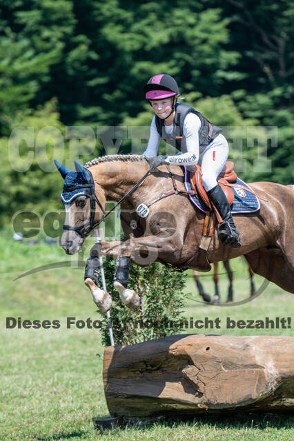 Goldene Schärpe 2021 - Ponys